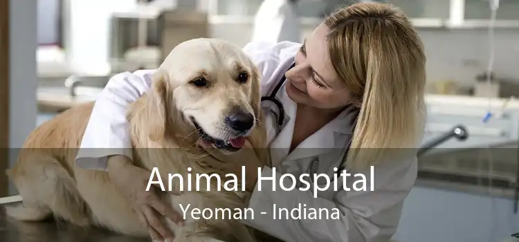 Animal Hospital Yeoman - Indiana