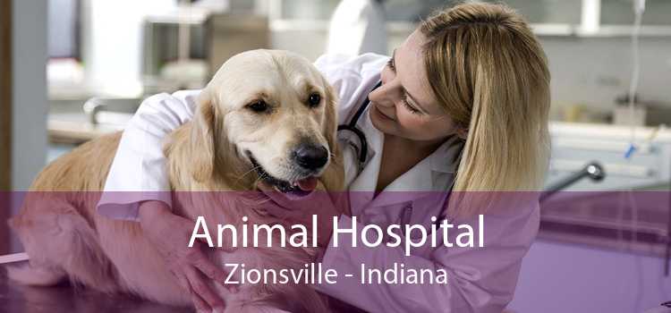 Animal Hospital Zionsville - Indiana