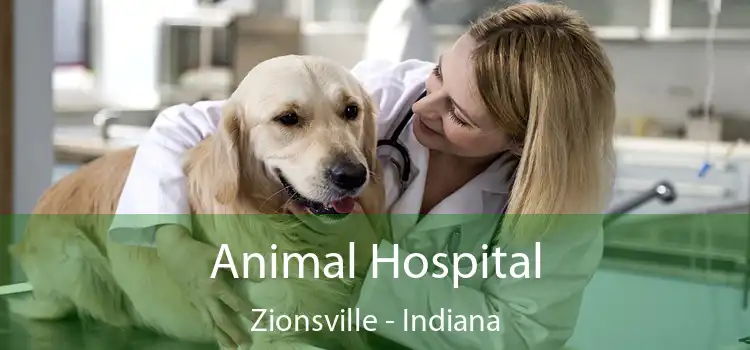 Animal Hospital Zionsville - Indiana