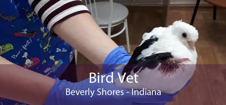 Bird Vet Beverly Shores - Indiana