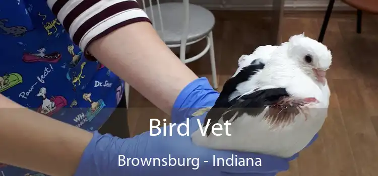 Bird Vet Brownsburg - Indiana