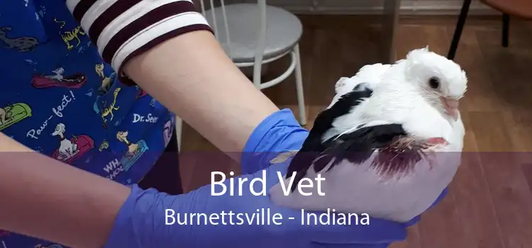 Bird Vet Burnettsville - Indiana