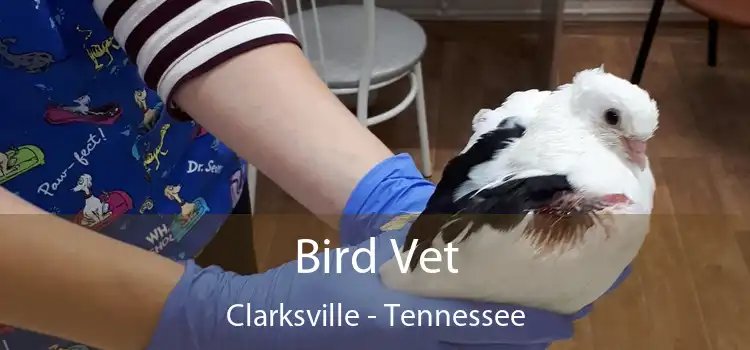 Bird Vet Clarksville - Tennessee