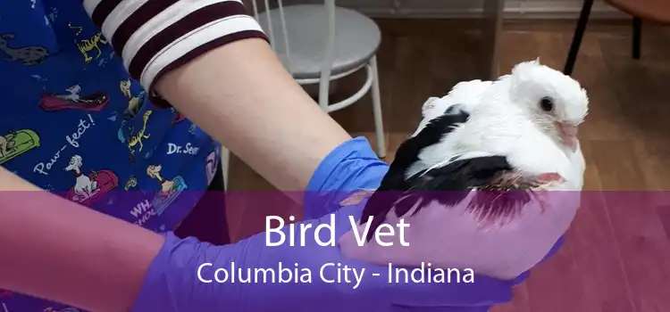 Bird Vet Columbia City - Indiana