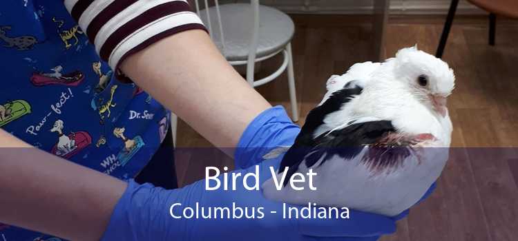 Bird Vet Columbus - Indiana