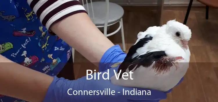 Bird Vet Connersville - Indiana