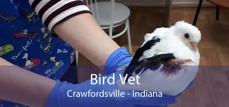 Bird Vet Crawfordsville - Indiana