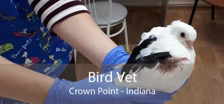 Bird Vet Crown Point - Indiana