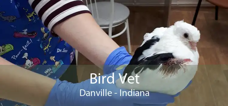 Bird Vet Danville - Indiana