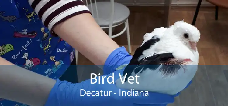 Bird Vet Decatur - Indiana