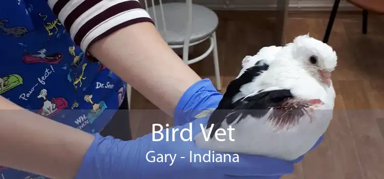 Bird Vet Gary - Indiana