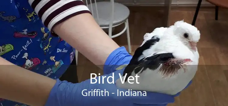 Bird Vet Griffith - Indiana