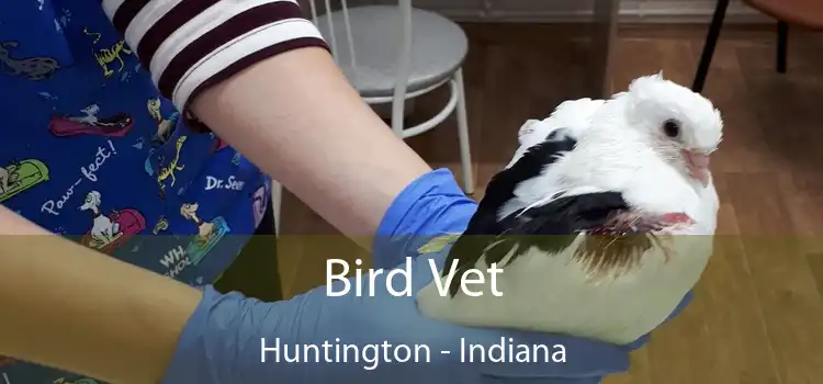 Bird Vet Huntington - Indiana