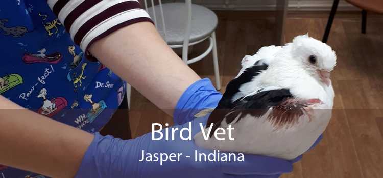 Bird Vet Jasper - Indiana