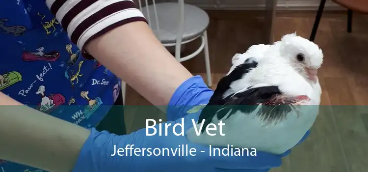 Bird Vet Jeffersonville - Indiana