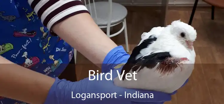 Bird Vet Logansport - Indiana