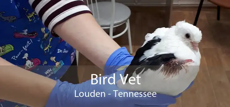 Bird Vet Louden - Tennessee