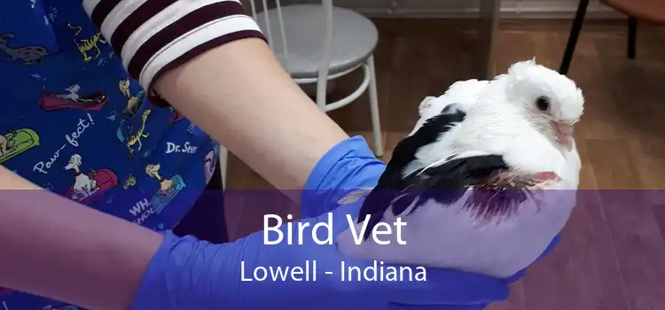 Bird Vet Lowell - Indiana