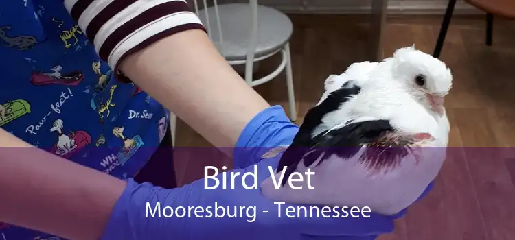 Bird Vet Mooresburg - Tennessee