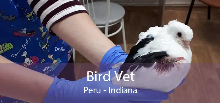 Bird Vet Peru - Indiana