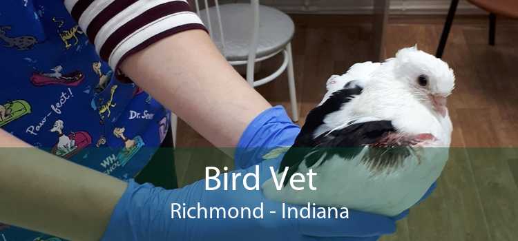 Bird Vet Richmond - Indiana