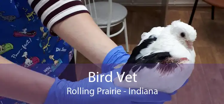 Bird Vet Rolling Prairie - Indiana