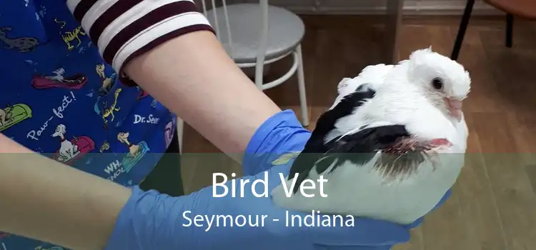 Bird Vet Seymour - Indiana