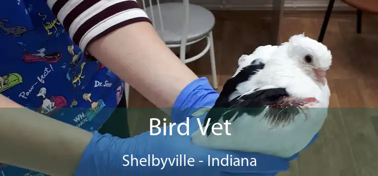 Bird Vet Shelbyville - Indiana