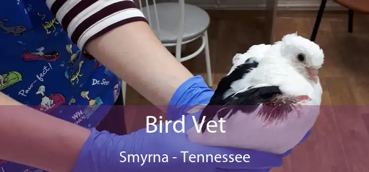 Bird Vet Smyrna - Tennessee