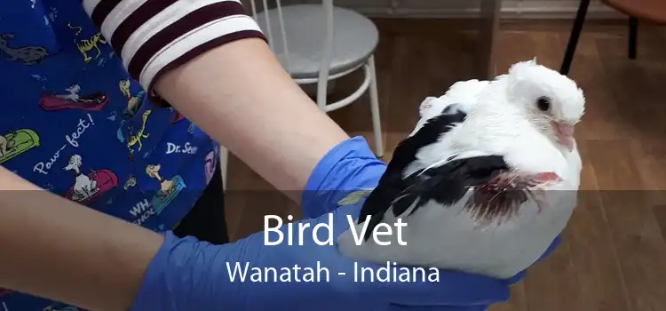 Bird Vet Wanatah - Indiana