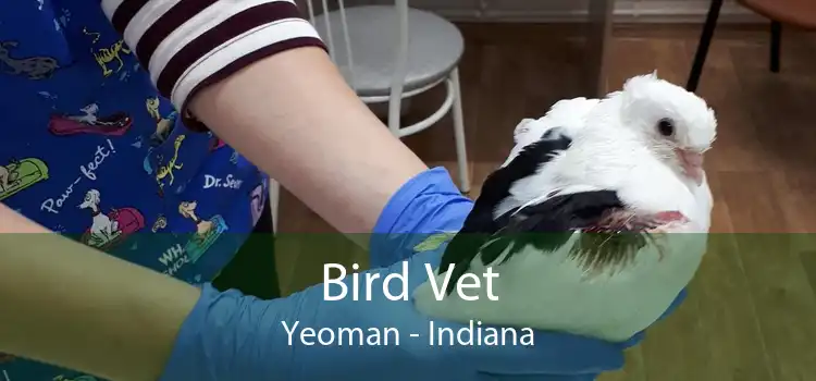 Bird Vet Yeoman - Indiana