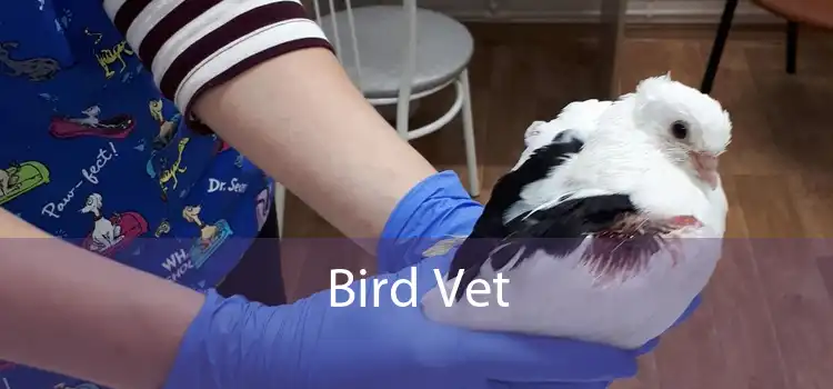 Bird Vet - Emergency Exotic Avian Vet Near Me