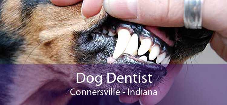 Dog Dentist Connersville - Indiana