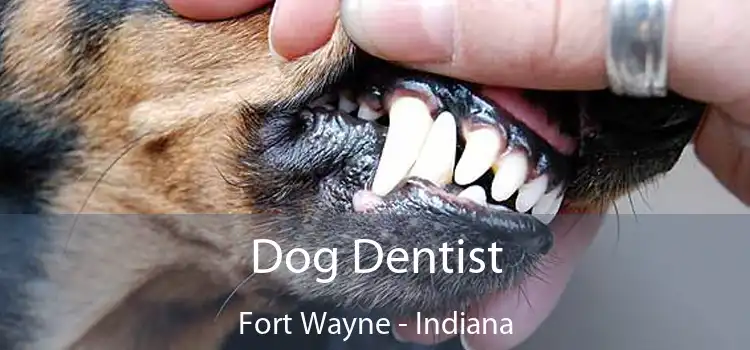 Dog Dentist Fort Wayne - Indiana