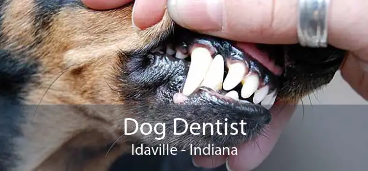 Dog Dentist Idaville - Indiana