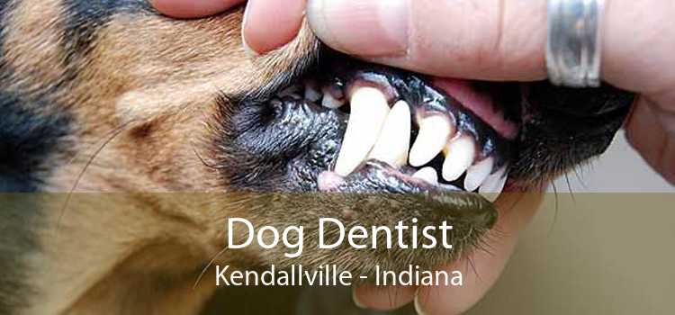 Dog Dentist Kendallville - Indiana