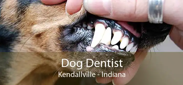 Dog Dentist Kendallville - Indiana