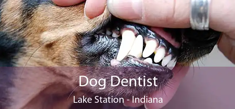 Dog Dentist Lake Station - Indiana