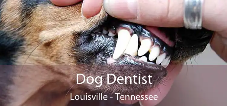 Dog Dentist Louisville - Tennessee