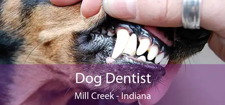 Dog Dentist Mill Creek - Indiana