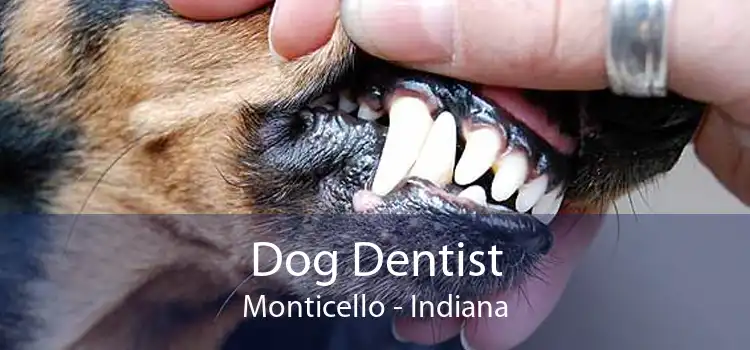 Dog Dentist Monticello - Indiana