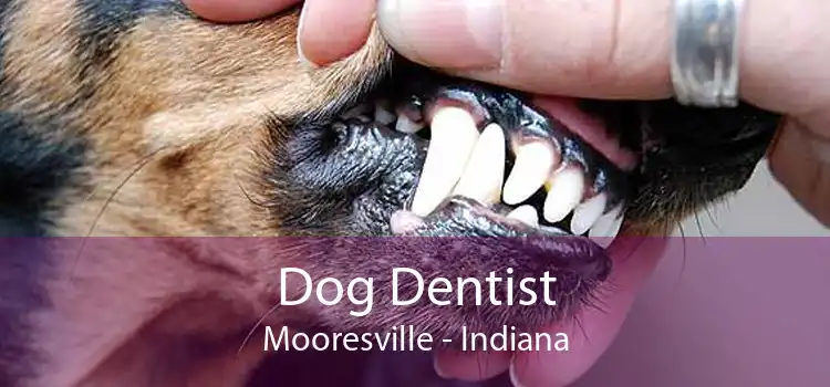 Dog Dentist Mooresville - Indiana