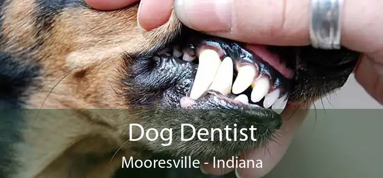 Dog Dentist Mooresville - Indiana