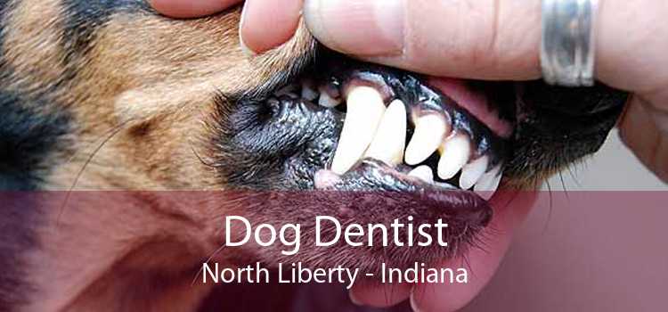 Dog Dentist North Liberty - Indiana