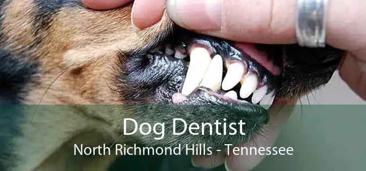 Dog Dentist North Richmond Hills - Tennessee