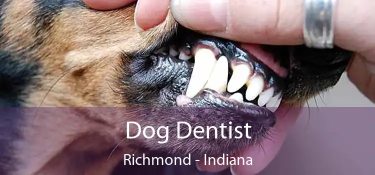 Dog Dentist Richmond - Indiana