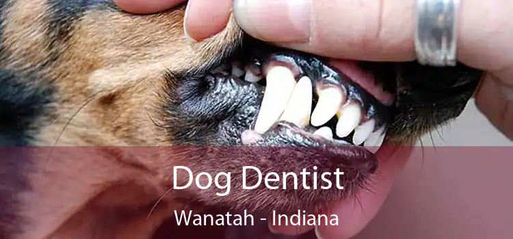 Dog Dentist Wanatah - Indiana