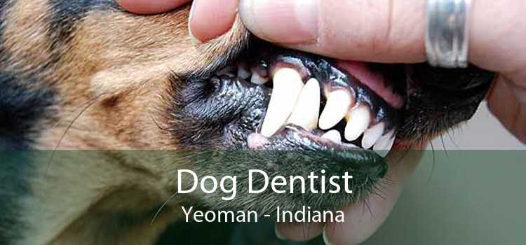 Dog Dentist Yeoman - Indiana