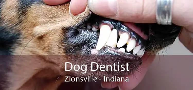 Dog Dentist Zionsville - Indiana