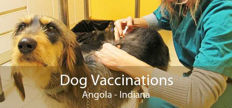 Dog Vaccinations Angola - Indiana